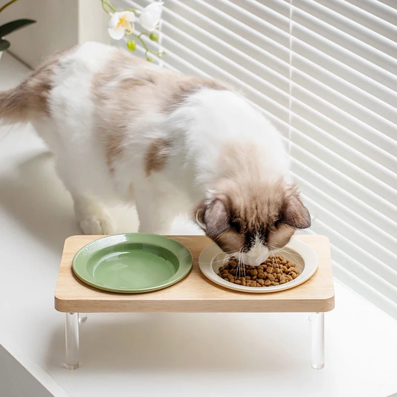 Chat mangeant dans une gamelle surélevée en céramique verte et blanche sur support en bois et pieds transparents – MiaouTable