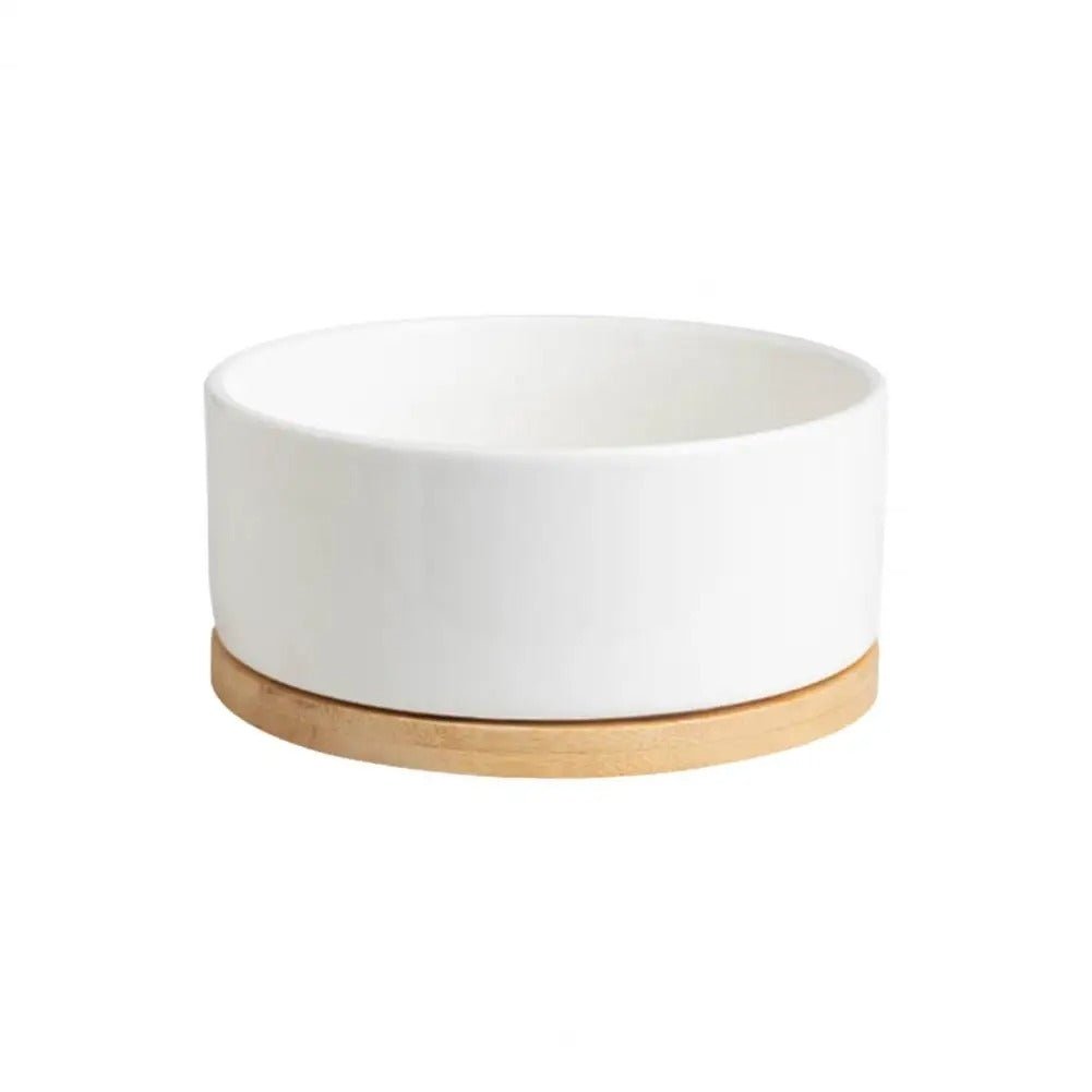 Gamelle chauffante WarmSipCatBowl blanc pour chat