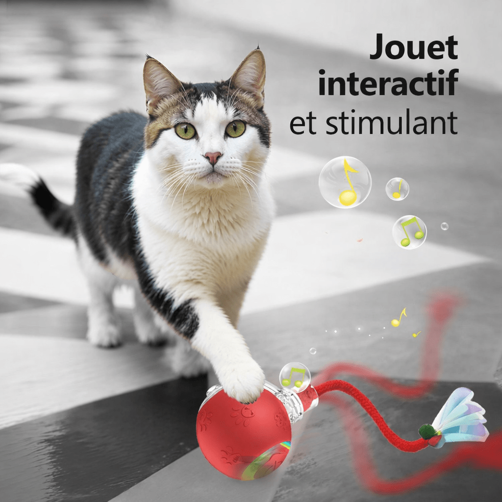 jouet interactif pour chat avec balle automatique et plume stimulant le jeu et l’activité