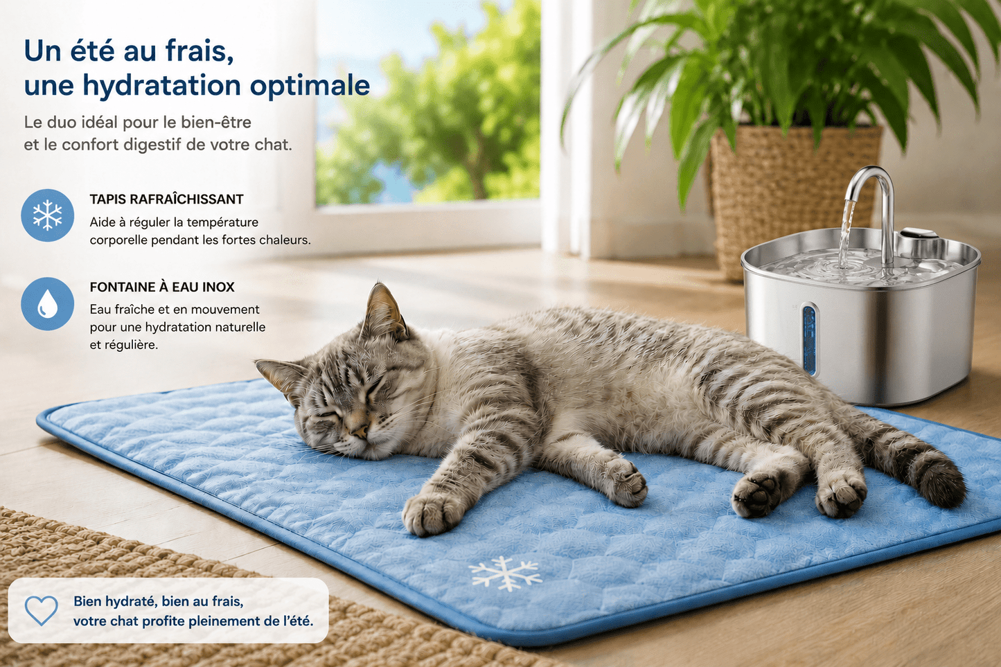 Chat allongé sur un tapis rafraîchissant bleu à côté d'une fontaine à eau inox MiaouTable pour une hydratation optimale durant l'été.