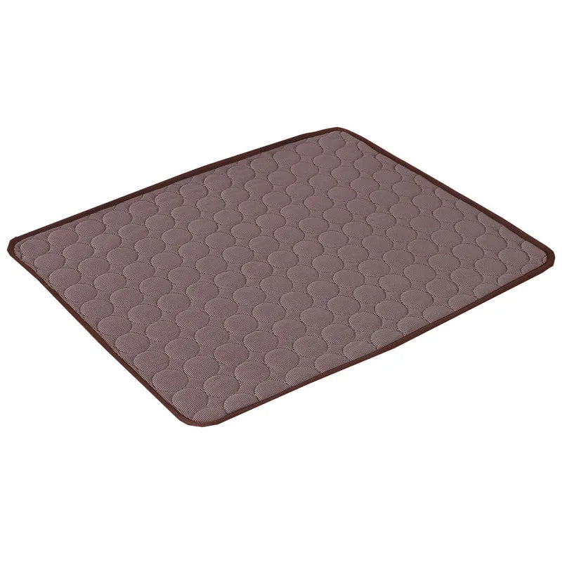 Pack Essentiel Fraîcheur