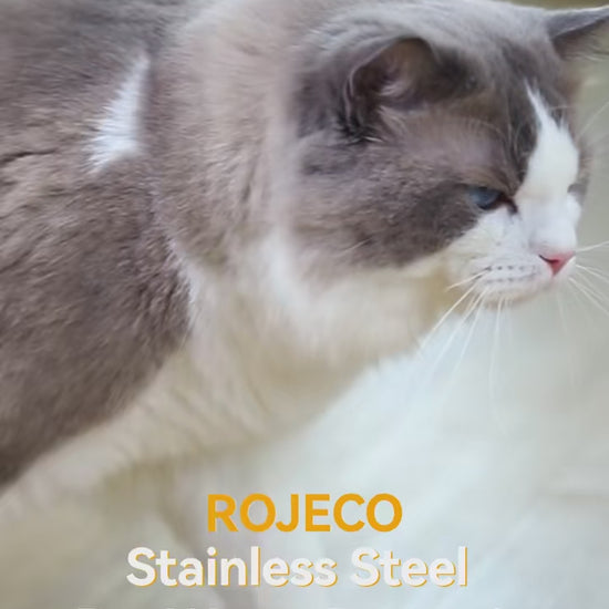 Vidéo d’un chat buvant à une fontaine à eau en inox, avec un jet central et de l’eau circulant sur le plateau.