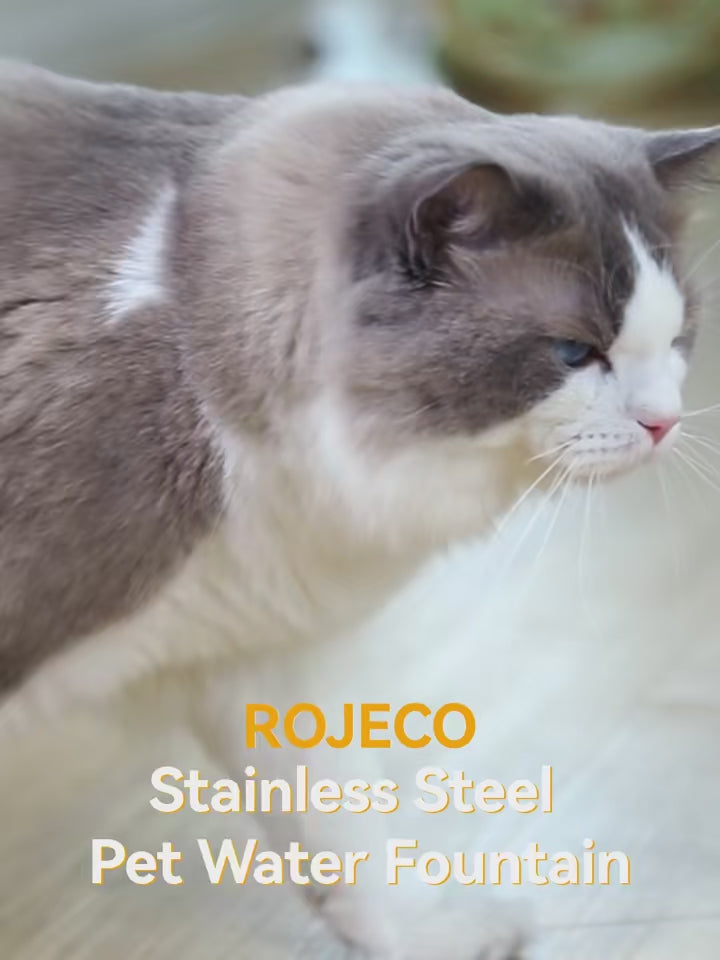 Vidéo d’un chat buvant à une fontaine à eau en inox, avec un jet central et de l’eau circulant sur le plateau.