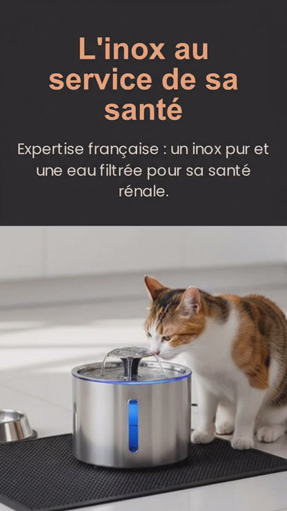 Votre chat ne boit pas assez ? Cette fontaine change ça — silencieuse, filtrée, 24h/24