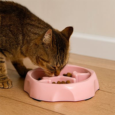 Gamelle anti glouton chat PetSafe rose avec obstacles pour ralentir l'alimentation