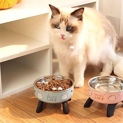 Gamelle chat surélevée ErgoDigest - vue d'ensemble"