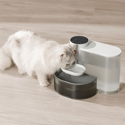 Chat gris buvant dans une fontaine à eau silencieuse en plastique blanc