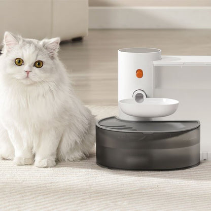 chat aime la fontaine à eau 