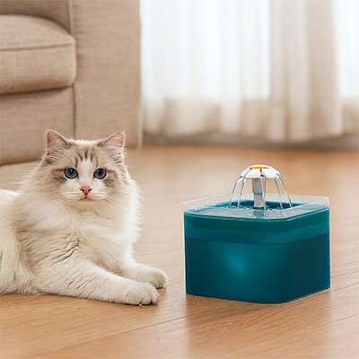 Fontaine à eau chat - vue d'ensemble et design