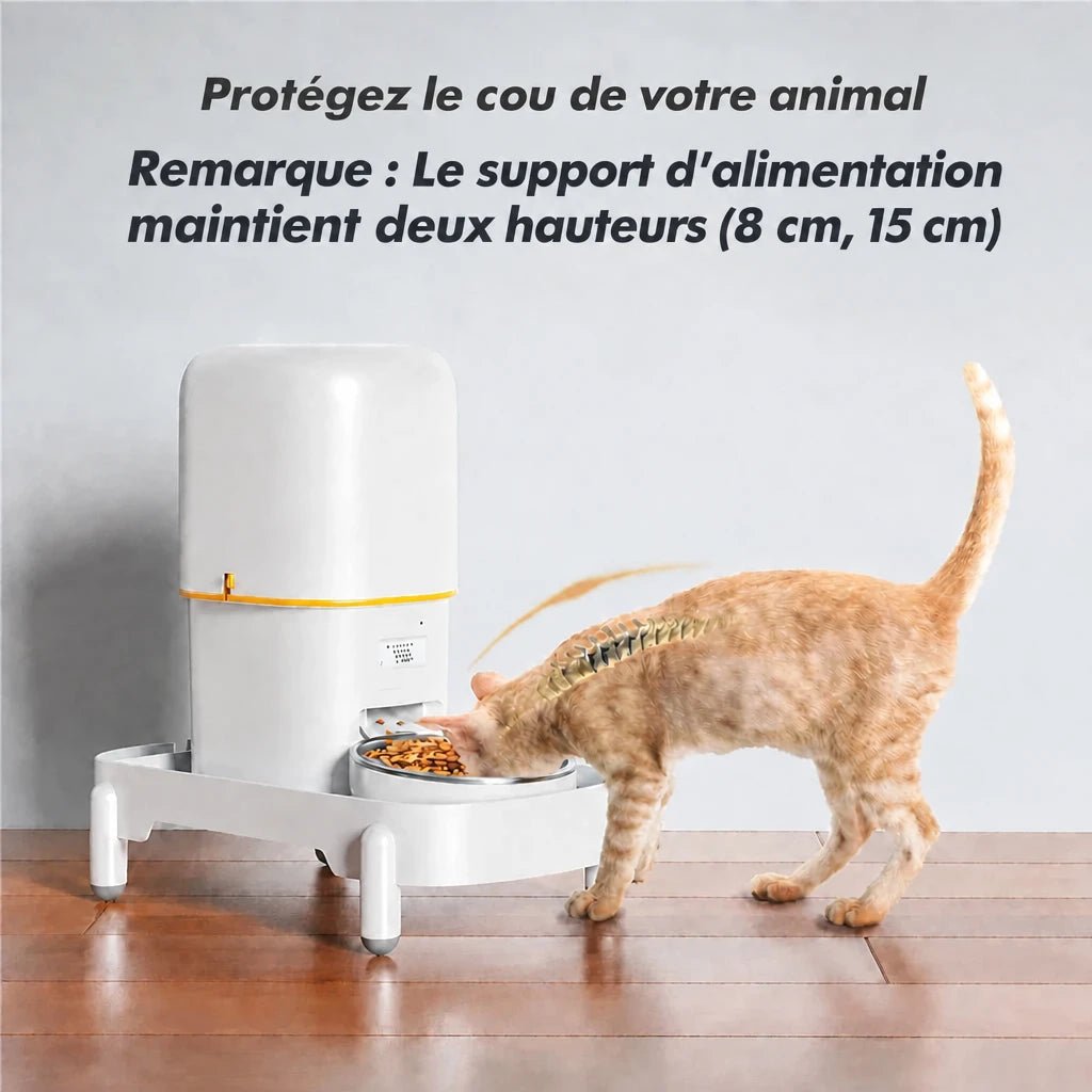 Chat roux mangeant dans un distributeur automatique blanc sur un support réglable à 8 ou 15 cm, avec illustration de la posture du cou.