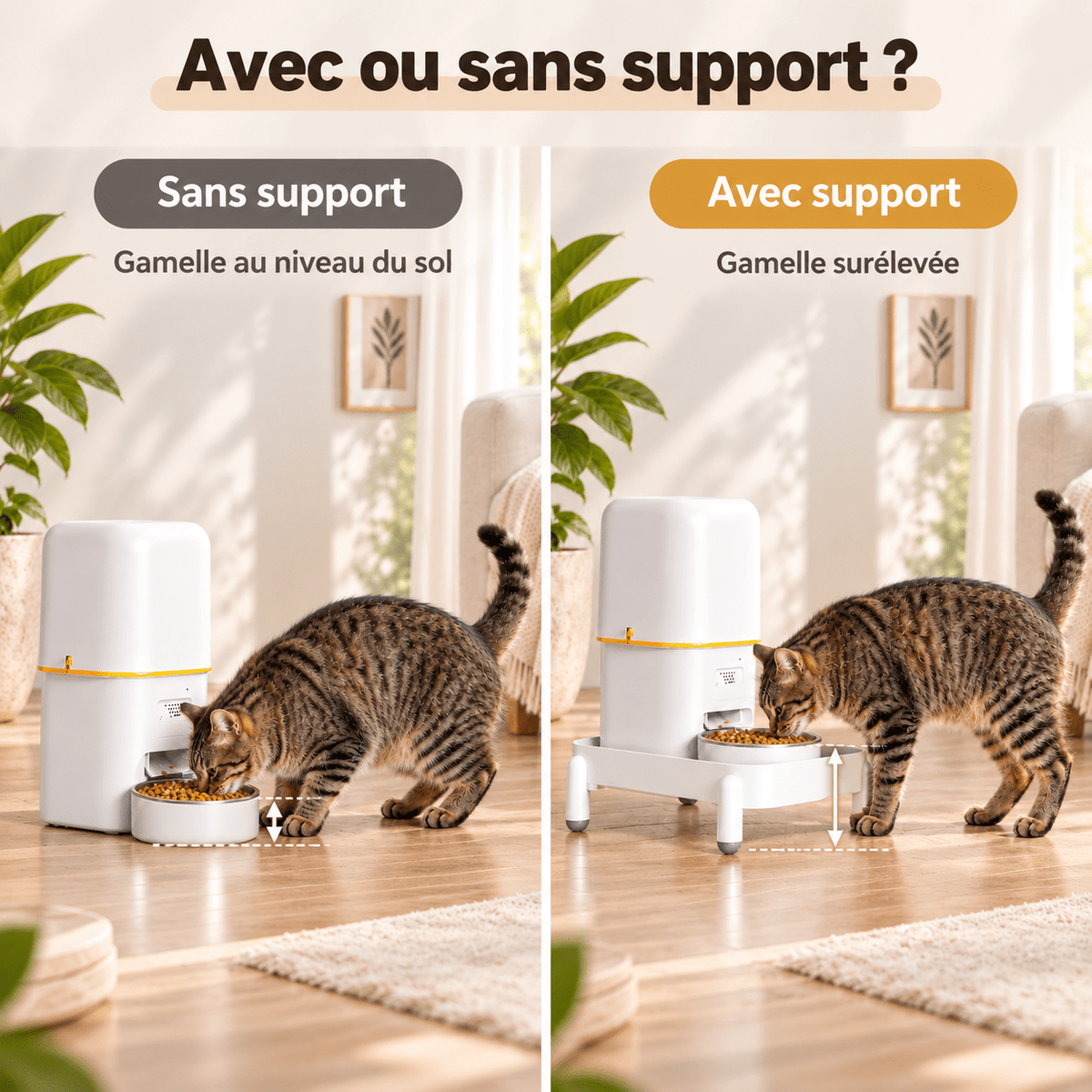 Comparaison d’un chat mangeant dans un distributeur de croquettes et dans le même distributeur placé sur un support surélevé.