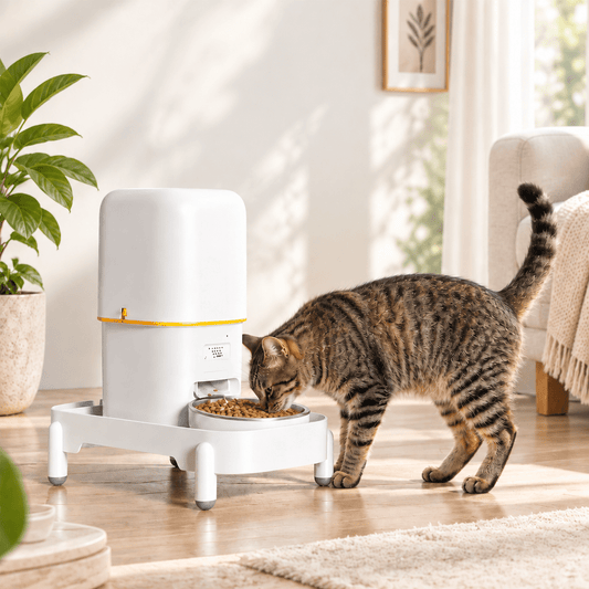 Support réglable pour distributeur de nourriture pour chat | MiaouTable
