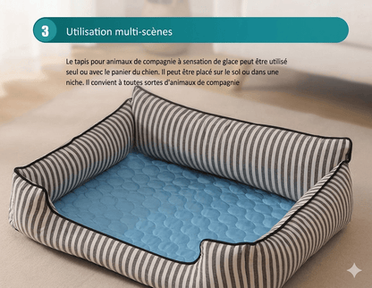 Tapis rafraîchissant bleu placé dans un panier rayé pour chien – utilisation multi-scènes sol ou niche