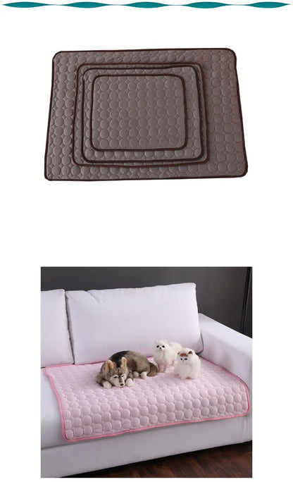 Tapis rafraîchissant disponible en plusieurs tailles – coloris coffee et rose avec chatons sur canapé